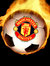 ManchesterUTD8641502